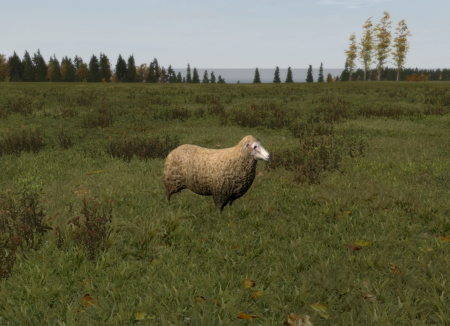 Animals - Original OriginsMod